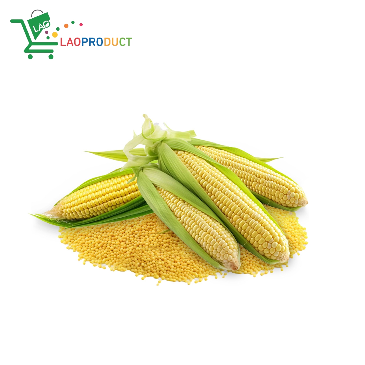 Corn