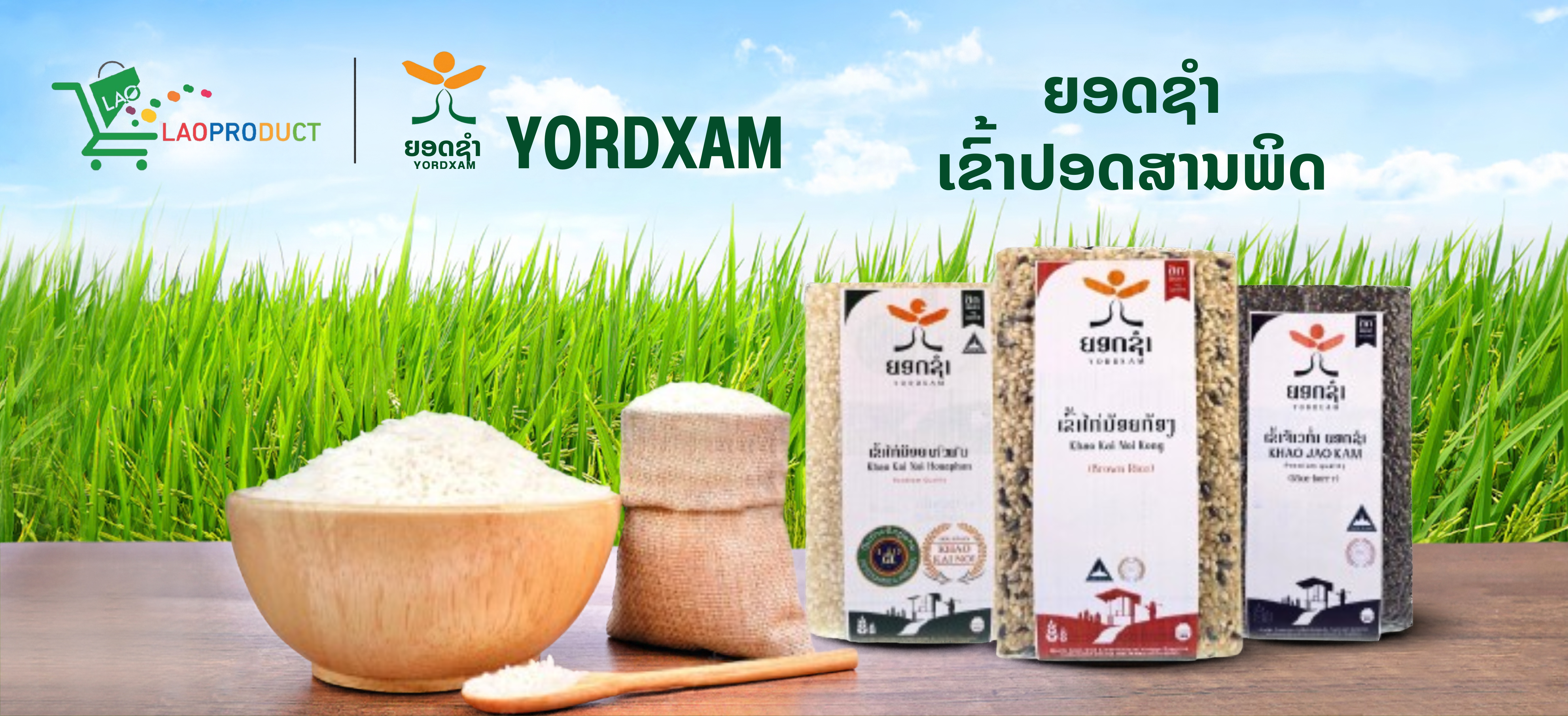 ເຂົ້າຍອດຊຳ